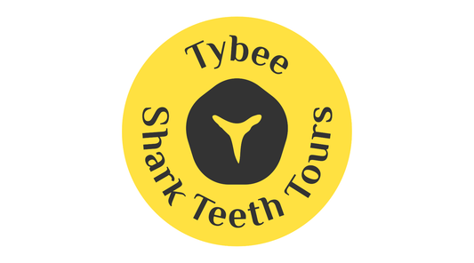Tybee Shark Teeth Tours - Amenity